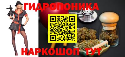 гашик Краснодар