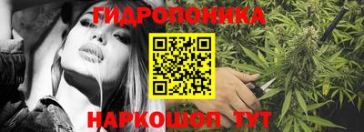 гашик Краснодар