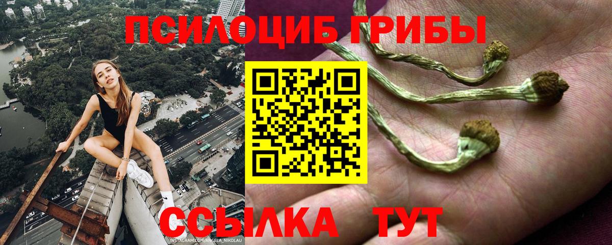 Псилоцибиновые грибы ЛСД  Вход с VPN  Галлюциногенные грибы Magic Shrooms  Десногорск 